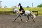 img_3074_small.jpg
