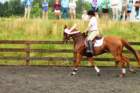 img_2484_small.jpg