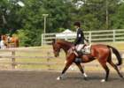 photo17_small.jpg