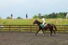 img_2790_small.jpg