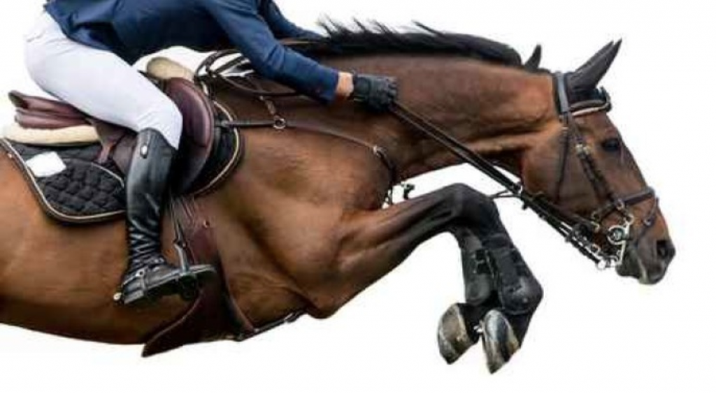 A Unique Horse Show Venue